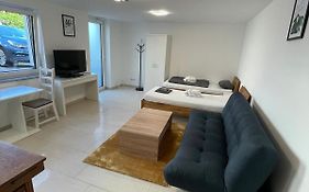 Tulip Apartment With Your Private Entrance
